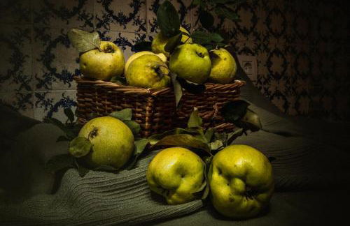 Quinta da Eira Velha - Foto 25