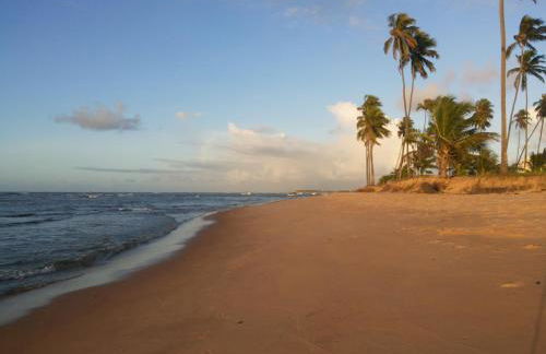 Paraíso dos Corais - Foto 25