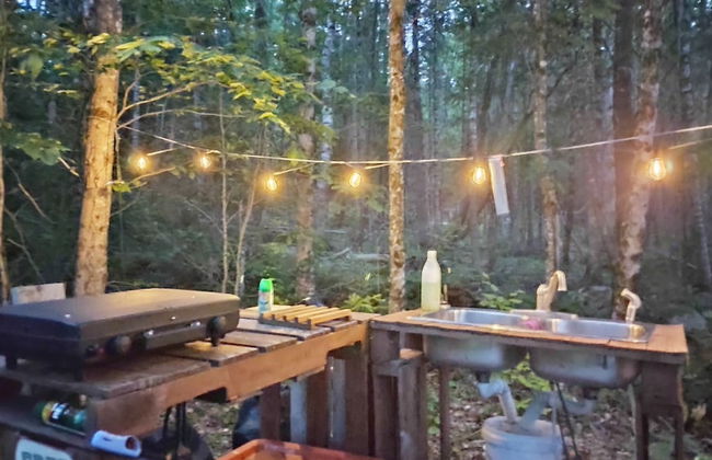 Schlafmans Hollow Solar Cabins - Photo 13