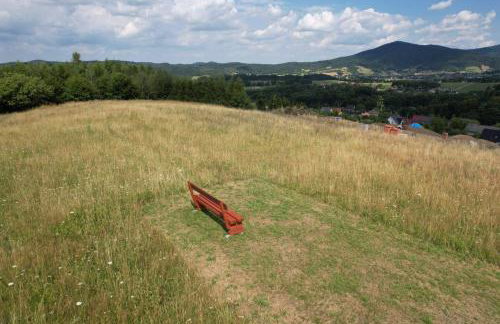 Wiśniowe Zacisze - Agroturystyka - Photo 35