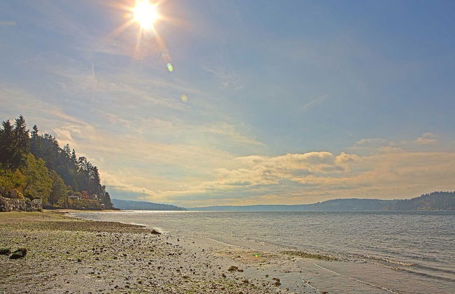 Four Stone Beach House - Photo 38
