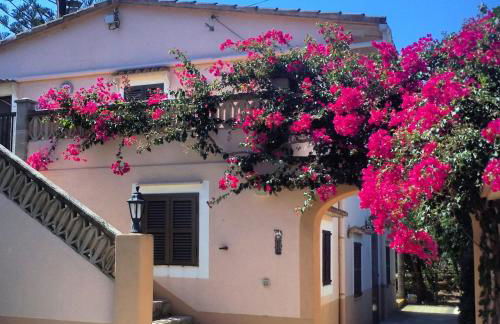 Finca Sa Gruta Marines - Foto 29