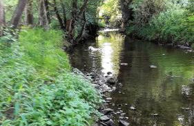 Haus mit Seele im Nahetal - Foto 50