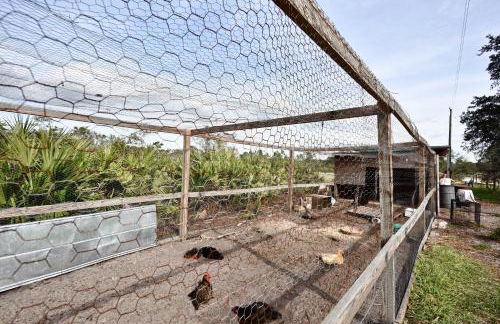 40-Acre Farm with Animals and Fishing in Sebring! - Foto 33