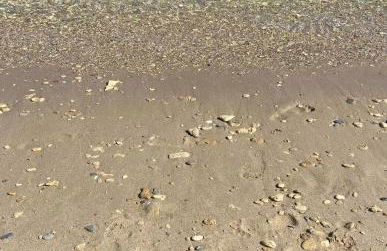 Sea & spiagge a 200m Stella del Salento - Foto 9