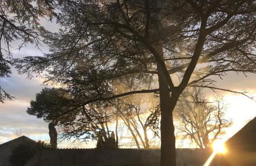 A l Aube du Midi - Foto 62