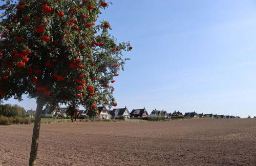 Ostseeferienhaus California - Foto 51