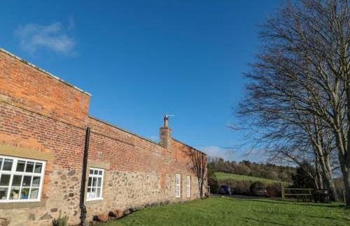 Silverbirch - Foto 15