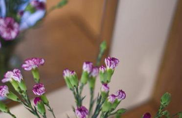 Woodleighton Cottages - Foto 56