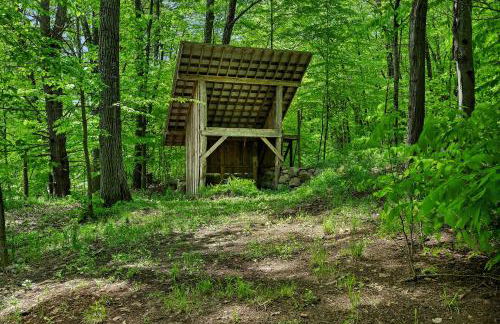 Saratoga Guest House - Foto 36