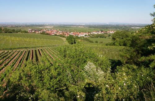 Ferienwohnung Lingenfelder - Foto 15