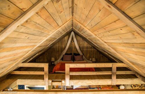 Zielna Farma - Foto 11