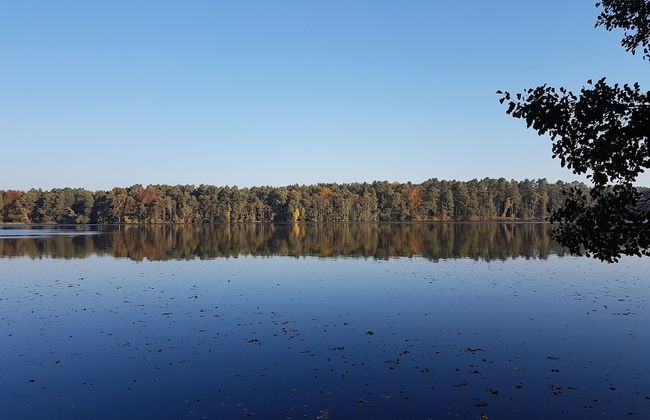 Ferienanlage Am Sidowsee - Foto 21