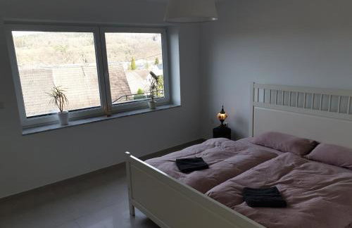 Schöne Wohnung über Wissen - Foto 1