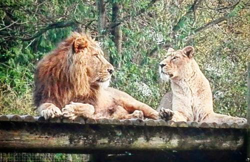 Cozy Cotswold getaway near Burford - Foto 38