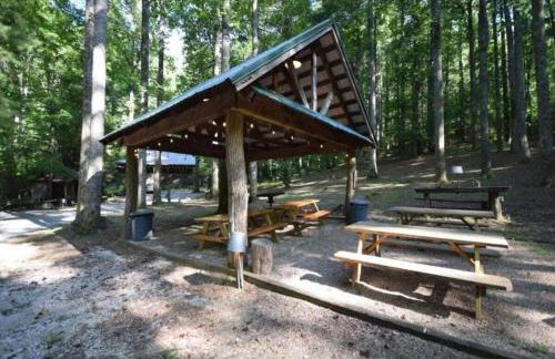 Saluda Summit Cabin at Cabin Fever - Foto 49