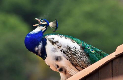 Agriturismo San Cataldo Farm Home - Foto 126