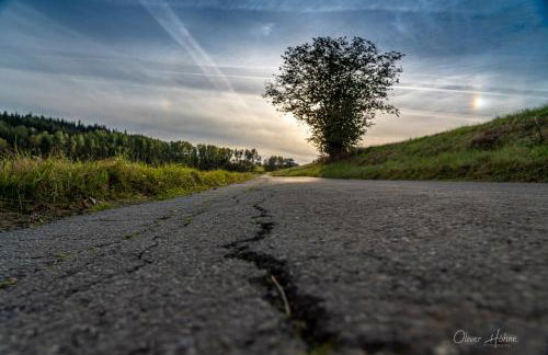 Ferienwohnung am Waldrand - Foto 24
