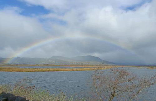 299 Willow Lodge - Foto 47