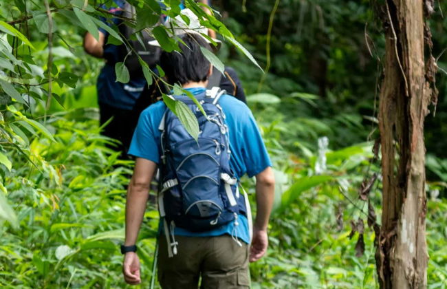 Trilha pela reserva Rainmaker - Foto 1