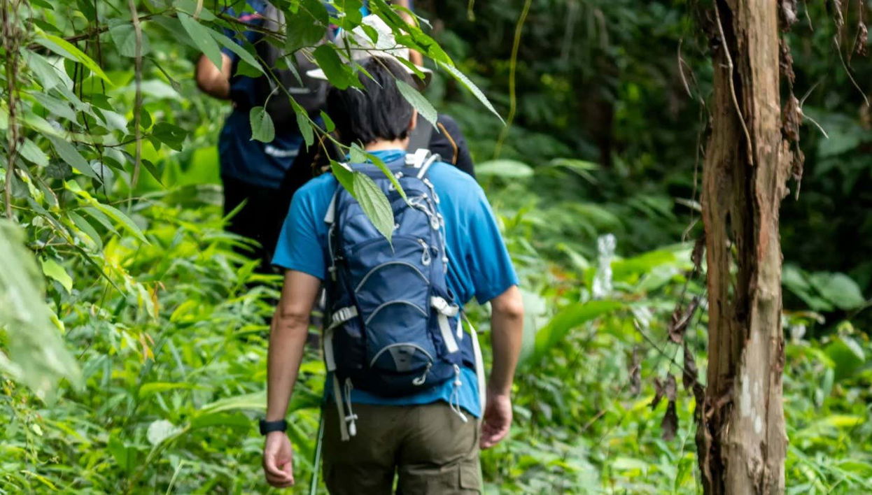 Rainmaker Park Hiking Tour - Foto 1