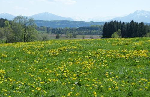 Druckerhof - Foto 16