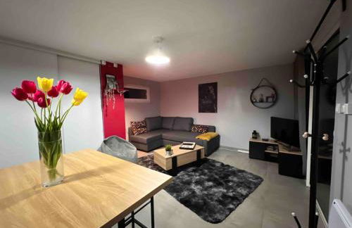 Gîte dans un petit haras - Foto 60