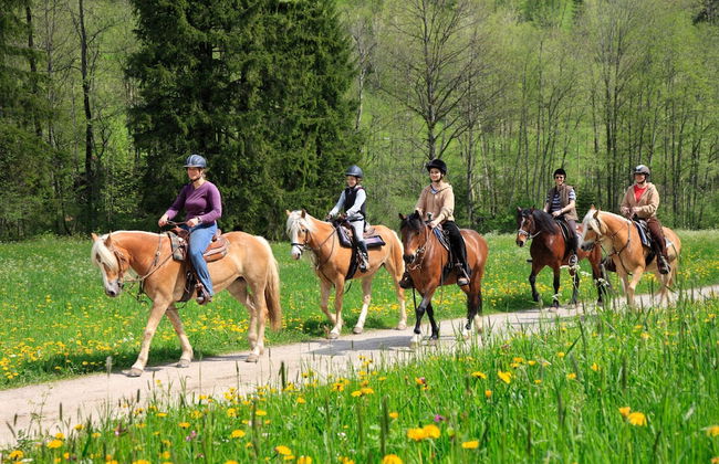 Ferienwohnungen am Buchbrunnen - Foto 51