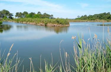 Villa Le Mauret - Foto 23