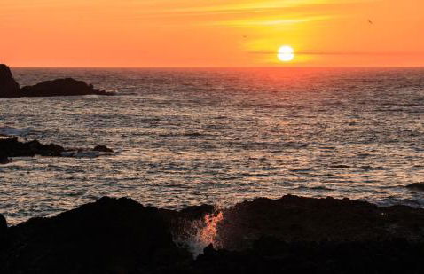 Shearwater - Foto 31