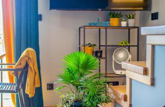 Złota Widokówka - Foto 31