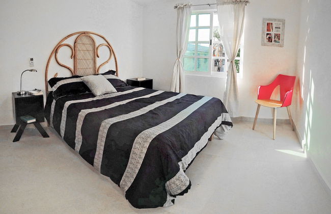 HominngBird - Foto 17