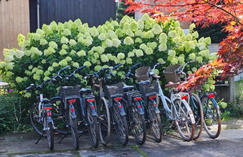 Hey Spreewald Ferienapartments - Foto 13