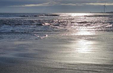 Riverscape Northumberland - Foto 15