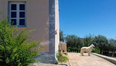 Linhal das Meias - São José das Matas - Foto 5