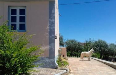 Linhal das Meias - São José das Matas - Foto 5