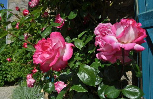 Ti Aval - Gîte de charme à la campagne - côte de granit rose - Foto 26