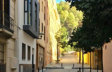 Centro Picacho - Foto 74