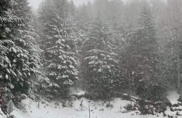 Appartement Chalet à 1400m - Station du Mourtis - Foto 32