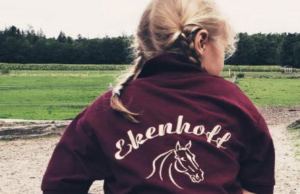 Ferienhof Ekenhoff - Foto 7