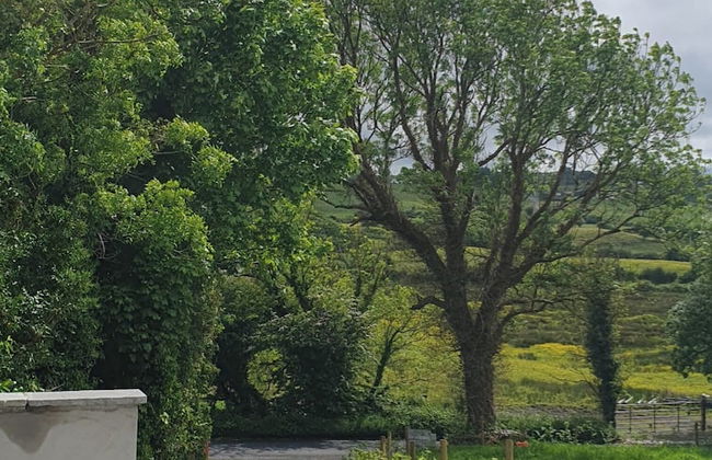 Hogans Cottage Ennistymon - Foto 12