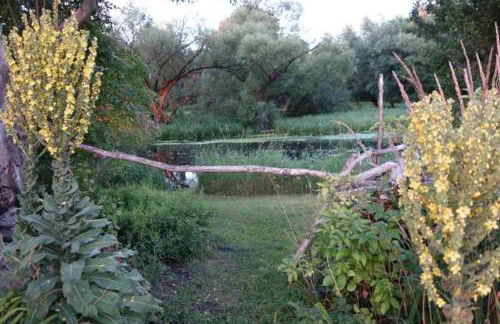 Fachwerkhaus am Fluss - Foto 37