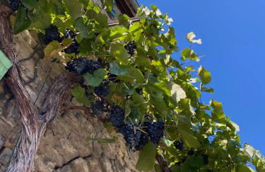 NEU Villa Maison Eveline mit Hästens Betten & Privat Spa - chez Douverne - Foto 24