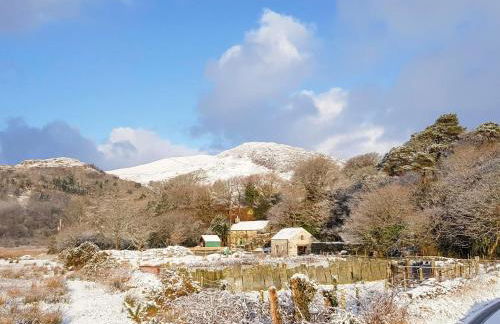 Tyn Llwyn Cornel - Foto 28