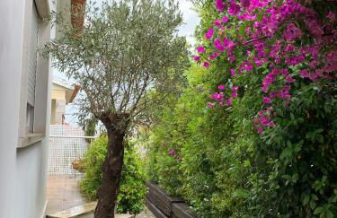 Vila Nogueira De Azeitao - Amaral's Guest Houses - Foto 22