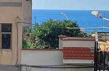 La Casetta di Nonna Anna - Foto 21