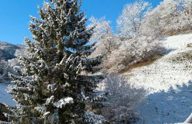 Ferienwohnung Kleines Wiesental - Foto 32