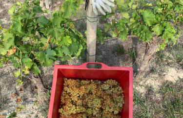 Casa villetta "La Colomba" Nizza Monferrato - Foto 40