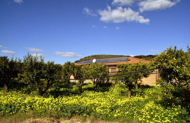 Agriturismo Le Terre Zoè - Foto 19