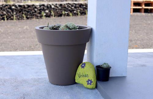 Vista Montanha - Foto 33